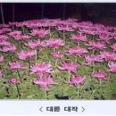 옥림 이미지
