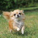 24시 나음동물 의료센터 이미지