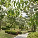 창원단감테마공원 이미지