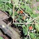 권오룡농장 이미지