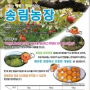 점리농장 이미지