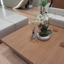 셀팅의원 이미지