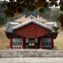 정일당강씨묘 | 신덕왕후 강씨, 신덕왕후 강씨 죽음과 묘가 파헤쳐진 사연