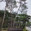 이마트24 R강북북한산점 | 서울 북한산자락 아래에서 완연히 느끼는 단풍 힐링...캐빈룸 내돈내산 숙박 후기 부대시설 완벽 정리