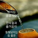 [정보] 물의 효능과 물 마시는 방법 이미지