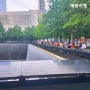 해밀톤관광주 이미지