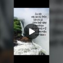 강산에주 이미지