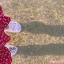 미소가든 펜션 야영장 이미지