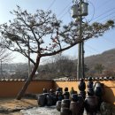 이레푸드 | 일산 돌잔치 어디가 좋을까? 솔직 비교 공개 | 파주 파티수 한옥점,메종소이레,라크제 스튜디오 장단점