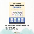 인천영종소마