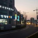 엔젤팜약국 이미지