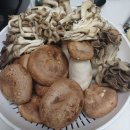 밥새우 버섯 비빔장 만들었습니다 이미지