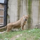 한사자농장 이미지