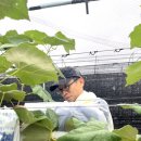 군서농협 이미지