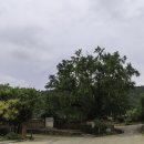 대풍여인숙 이미지