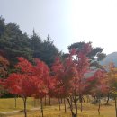 직지민박