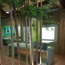 허균+허난설헌기념관 이미지