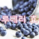 블루베리짐 이미지