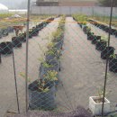 진척농장 이미지