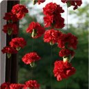 두레밥상 이미지