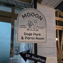 수원 루프탑 애견카페 무운(MOOON) 이미지