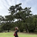 그 꼴로 산책가개? | #26 [다카마쓰 여행]_산책하면서 이쁜 사진 찍기 좋은 일본 정원 리쓰린 공원