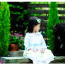 멍멍이 날다 이미지