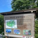 울릉도선창호텔 네이버블로그