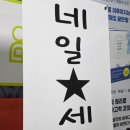 화려한수다 | 구래동 패디 네일세연 내돈내산, 화려한 얼음바사삭 2026 여름 패디 후기