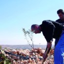 올리브어린이집 이미지