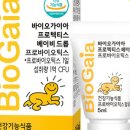 가이아인터내셔널 이미지