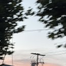 장말로352번길 네이버블로그