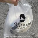 씨유 외대역점 | [회기맛집] 외대앞역 ‘육회바른연어’ 방문포장할인 육회덮밥 곱빼기 가성비 혼밥후기.