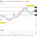 고려바이오(주) | 에이비엘바이오 · 에스티팜 임상일정 및 차트 분석