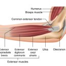 이지한의원 이미지