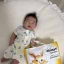 나비잠 | 여름기저귀추천 나비잠 시그니처 썸머팬티 M 사용후기