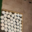 여의도골프아카데미 이미지