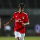 리가스포월드 이미지