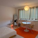 코난민박 이미지