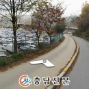 비렌티킹덤