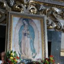 멕시코 배낭여행(6) 성모 발현의 과달루페(Guadalupe) 성당 이미지