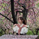 더 제이무드 | [대구] 퍼스널컬러&amp;골격진단 제이무드 후기 x 내돈내산