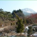 덕양삼거리 건너 이미지