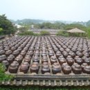 참살이농원 이미지