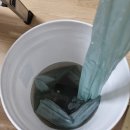 소안초등학교 이미지