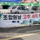 올리니 이미지