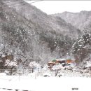 분천산타마을 이미지