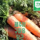 윤철농장 | 헌치커피,솟대작품이 제주오석심공예명장관을 찿아가다