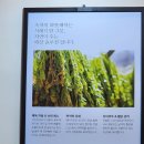 시흥3동 공영주차장(남녀공통) | 안양 양구네 한우해장국 솔직 후기, 재방문 의사 100%였던 뜻밖의 이유