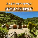 장성오토카써비스 | '전남신생캠핑장 - 호수뷰와 산뷰가 함께있는 장성 장만장오토캠핑장